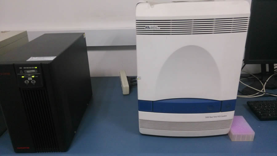 ABI7500实时定量PCR仪 [型号:Applied Biosystems 7500 Real-Time PCR System]