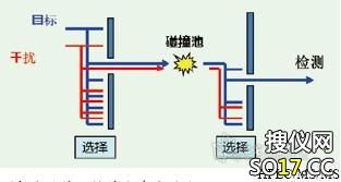 HPLC/MS/MS 检测模式