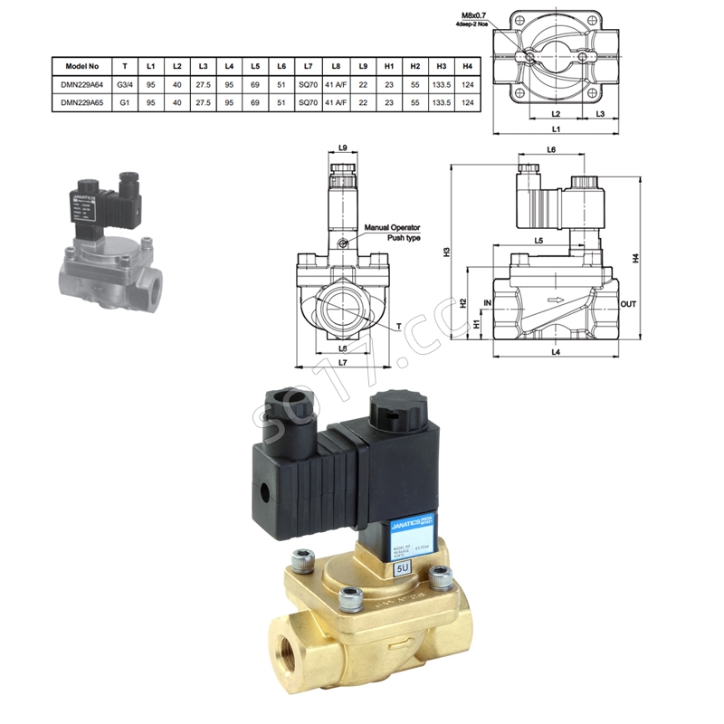 DMN227A63-R电磁阀Janatics吉耐特斯