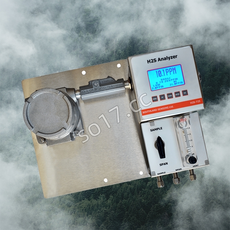 美国SSO2硫化氢分析仪H2S-725