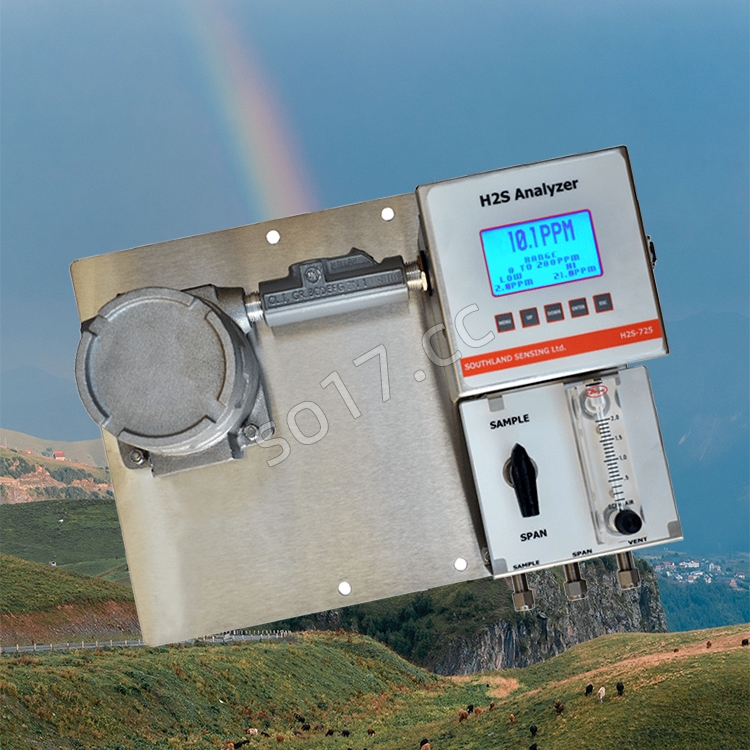 美国SSO2硫化氢分析仪H2S-725